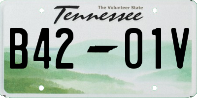 TN license plate B4201V