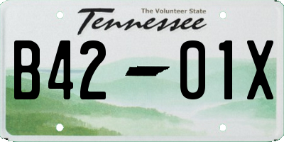 TN license plate B4201X