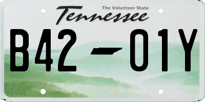 TN license plate B4201Y