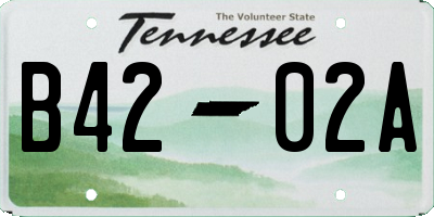TN license plate B4202A