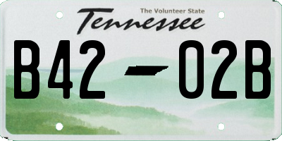 TN license plate B4202B