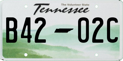 TN license plate B4202C