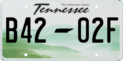 TN license plate B4202F
