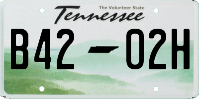 TN license plate B4202H