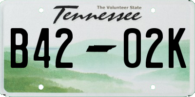 TN license plate B4202K