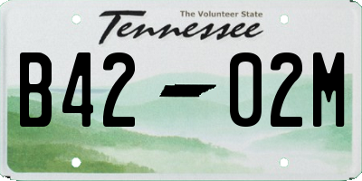 TN license plate B4202M