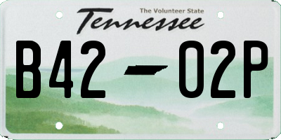 TN license plate B4202P
