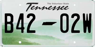 TN license plate B4202W
