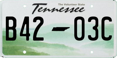 TN license plate B4203C