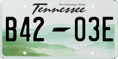 TN license plate B4203E