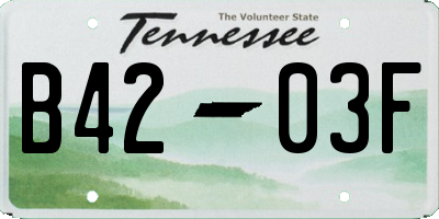 TN license plate B4203F