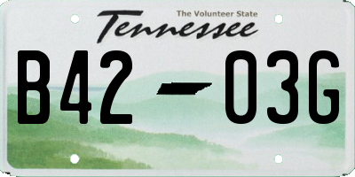 TN license plate B4203G