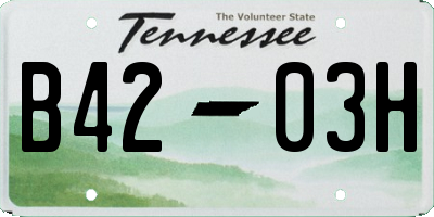 TN license plate B4203H