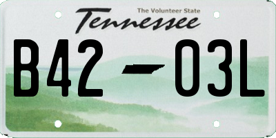 TN license plate B4203L