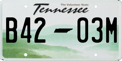 TN license plate B4203M