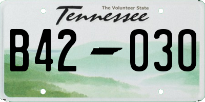TN license plate B4203O