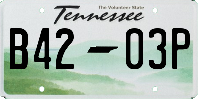 TN license plate B4203P