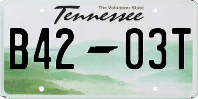 TN license plate B4203T
