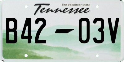 TN license plate B4203V