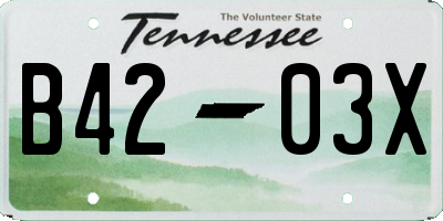 TN license plate B4203X