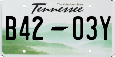 TN license plate B4203Y