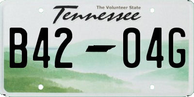 TN license plate B4204G