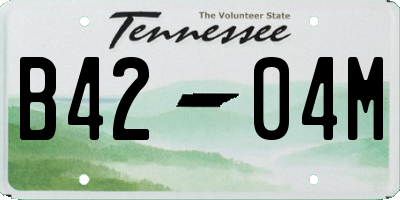TN license plate B4204M