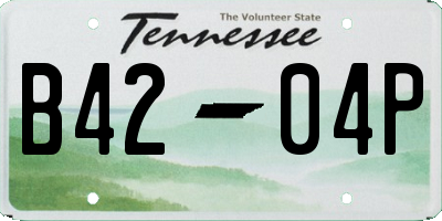 TN license plate B4204P