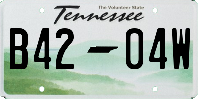 TN license plate B4204W