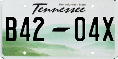 TN license plate B4204X