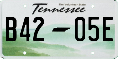 TN license plate B4205E