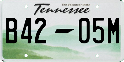 TN license plate B4205M