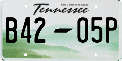 TN license plate B4205P