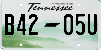 TN license plate B4205U