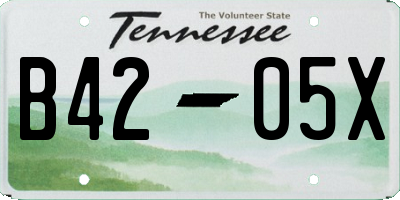 TN license plate B4205X