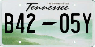 TN license plate B4205Y