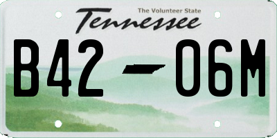 TN license plate B4206M
