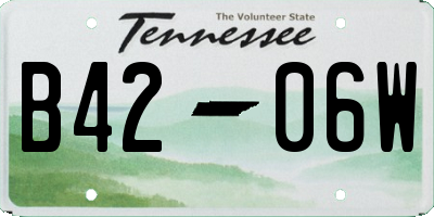TN license plate B4206W