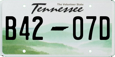 TN license plate B4207D
