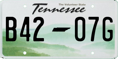 TN license plate B4207G