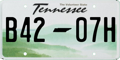 TN license plate B4207H