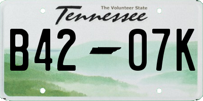 TN license plate B4207K