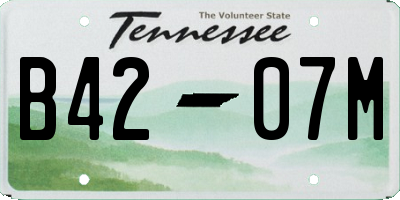 TN license plate B4207M