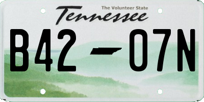 TN license plate B4207N