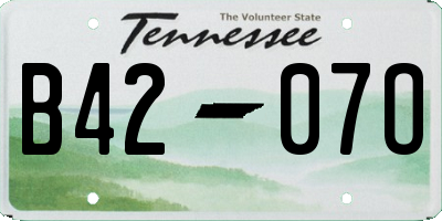 TN license plate B4207O