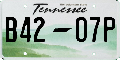 TN license plate B4207P