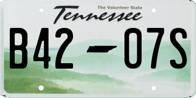 TN license plate B4207S