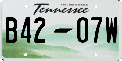 TN license plate B4207W