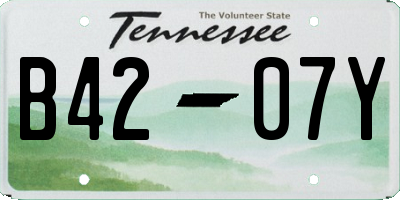 TN license plate B4207Y