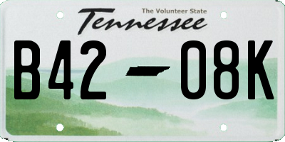 TN license plate B4208K
